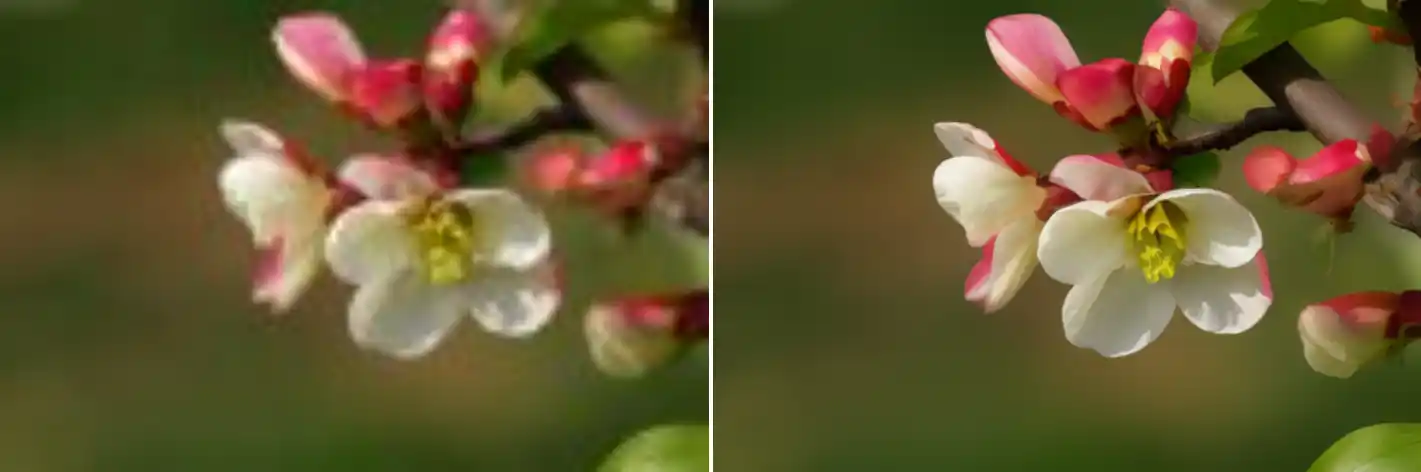 example image output 1 for workflow.